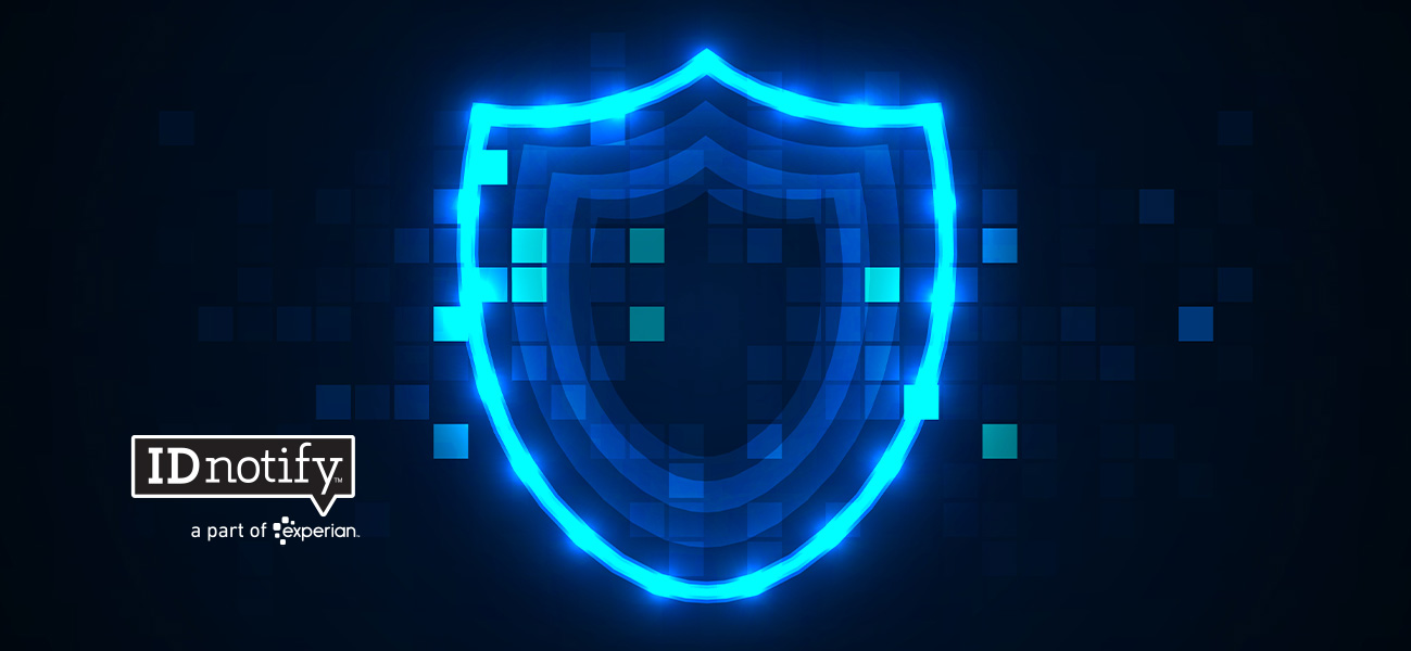 Privacidad y Seguridad