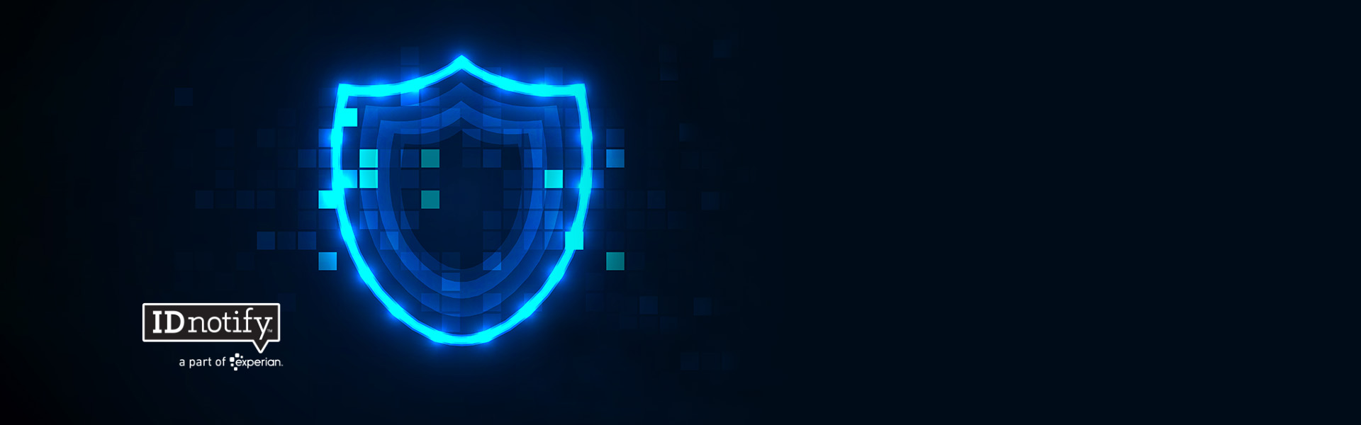 Privacidad y Seguridad