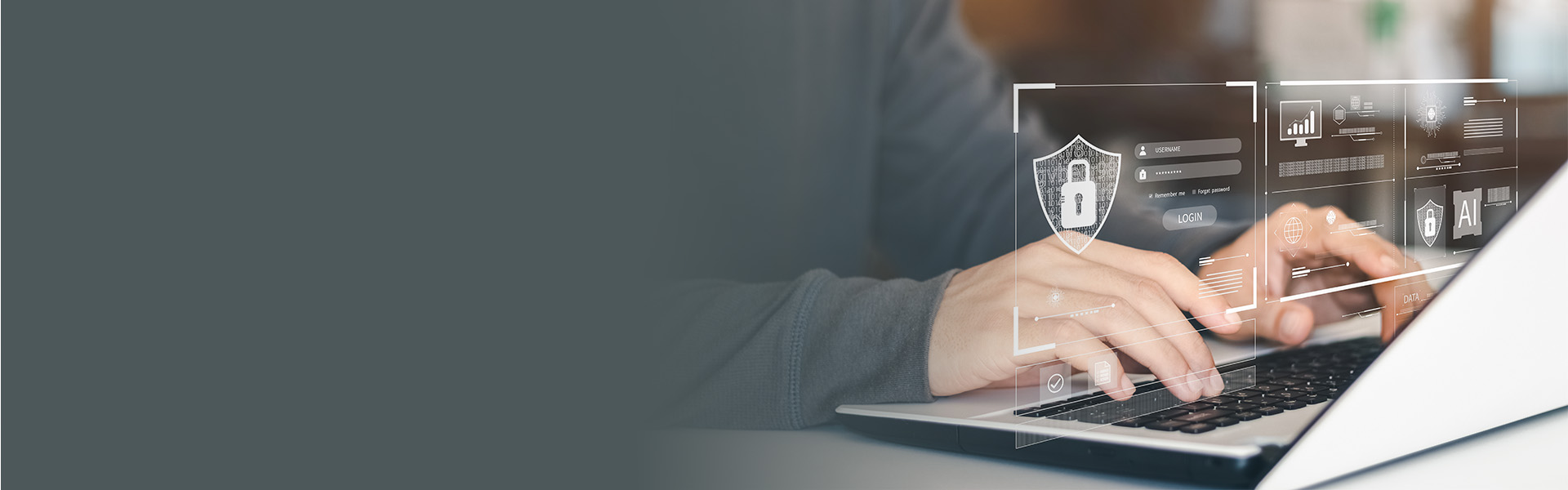 Privacidad y Seguridad